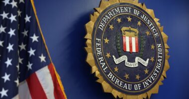 The FBI announced it had stopped an ISIS 'potential terrorist attack' for New Year's Eve in North Carolina. Christian Sturdivant, 18, was arrested and charged for allegedly attempting to provide material support to a foreign terrorist organization, according to U.S. Attorney for the Western District of North Carolina Russ Ferguson. The suspect reportedly planned to attack civilians inside a grocery store in North Carolina on New Year's Eve as an act of support for the Islamic State terrorist group.