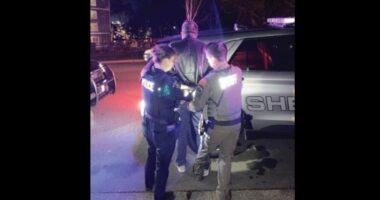 Far-Left Prof Who Called Trump a Pedophile Charged With Child Molestation.