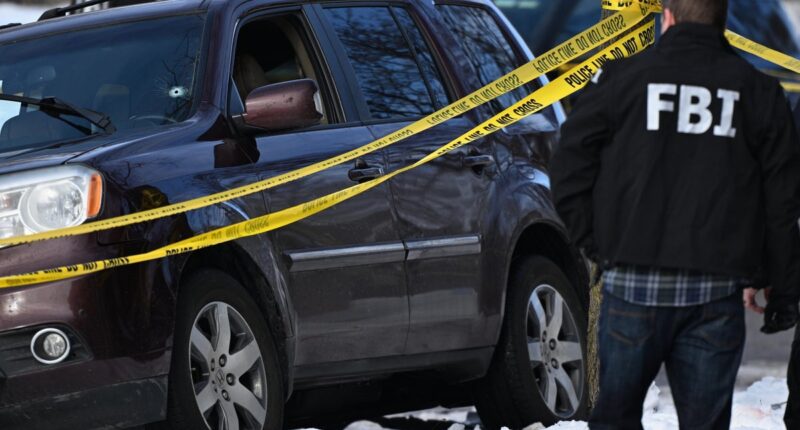 Fatal shooting by ICE agent in Minneapolis raises questions about officers firing at moving vehicles