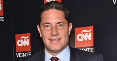 Fernando del Rincon Net Worth