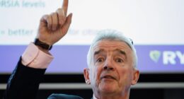 Fighting with Elon Musk has been great for business, Ryanair CEO says