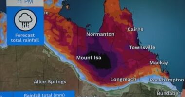Some of the Bureau of Meteorology's rain gauges in Queensland are producing inaccurate readings and causing the wrong alerts to be sent out