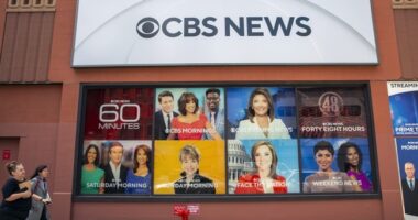Former CBS Reporter Explains the Protection Racket Media – HotAir