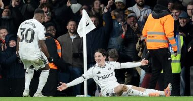 Harry Wilson celebrates his stoppage-time free-kick that won the game for Fulham