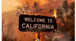 Gavin Newsom blasted for Grindr comment aimed at MAGA influencer Benny Johnson