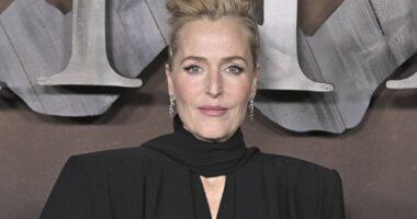 Gillian Anderson's Best Role Since 'The X-Files' Is This 93% RT Netflix Show You Can't Miss