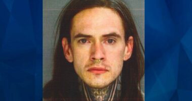 Grave Robber Caught With Skull in Backseat! 100 Skeletal Remains in Home!