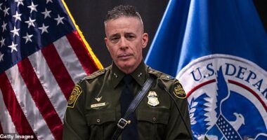 Border Patrol commander Gregory Bovino, one of the faces of Donald Trump's immigration crackdown, has been removed from his role as 'commander at large'