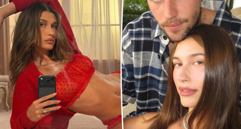 Hailey Bieber denies reposting fan video about 'abuse' in her marriage to 'addict' Justin