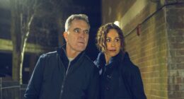 Harlan Coben's New Netflix Thriller Is a 'Bosch' Replacement That Needs More Grit