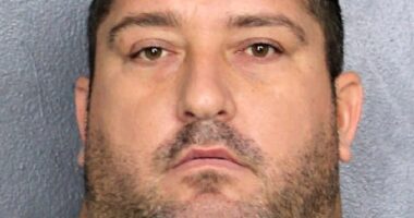 Michael Christopher Curtis, 38, has been charged in three different criminal cases, where prosecutors allege he has stolen hundreds of thousands of dollars from various condo associations in Florida in his capacity as a property manager