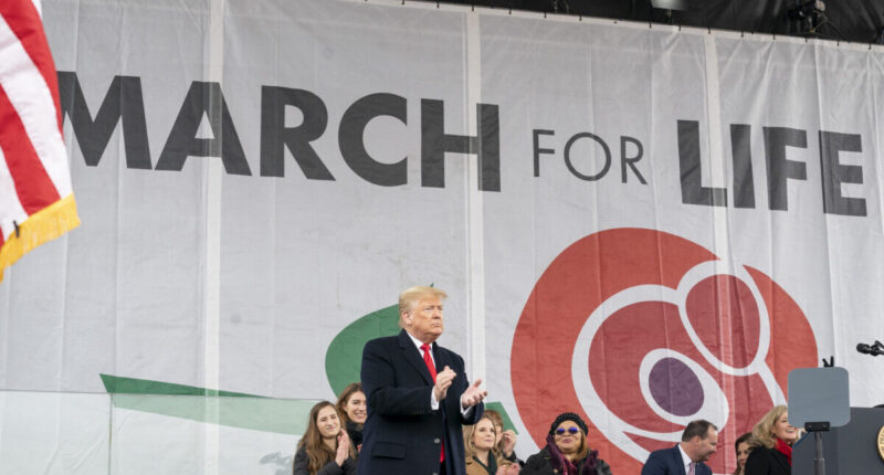 Trump at March for LIfe