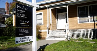 Here’s how the housing market can rebound from one of its worst years in decades