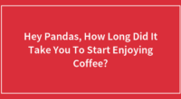 Hey Pandas, How Long Did It Take You To Start Enjoying Coffee?