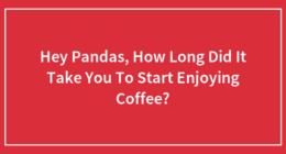 Hey Pandas, How Long Did It Take You To Start Enjoying Coffee?