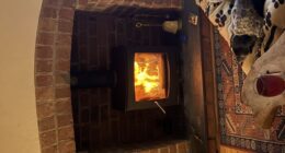 Hey Pandas, Share Photos Of Cosy Winter Evenings With Your Pets