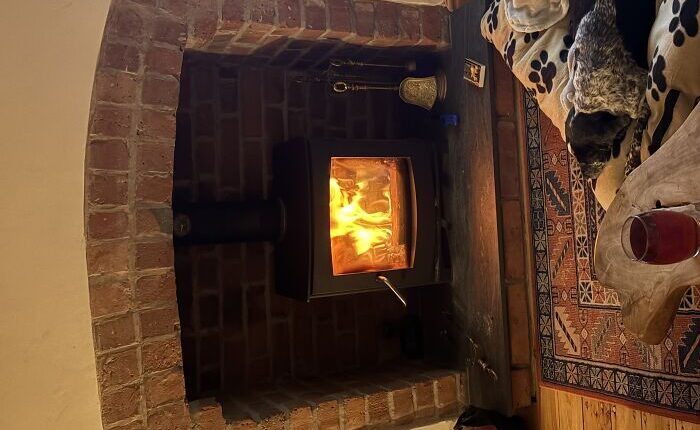 Hey Pandas, Share Photos Of Cosy Winter Evenings With Your Pets