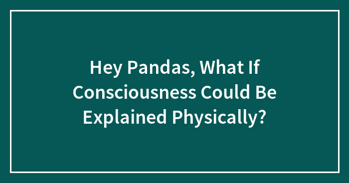 Hey Pandas, What If Consciousness Could Be Explained Physically?