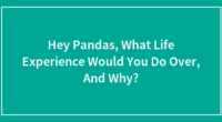 Hey Pandas, What Life Experience Would You Do Over, And Why?