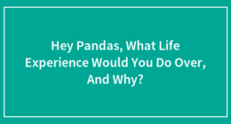 Hey Pandas, What Life Experience Would You Do Over, And Why?