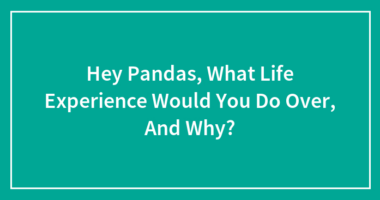 Hey Pandas, What Life Experience Would You Do Over, And Why?