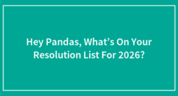 Hey Pandas, What’s On Your Resolution List For 2026?