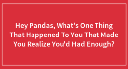 Hey Pandas, What’s One Thing That Happened To You That Made You Realize You’d Had Enough?