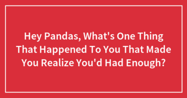 Hey Pandas, What’s One Thing That Happened To You That Made You Realize You’d Had Enough?
