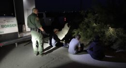 House GOP Probes Leftist Group Helping Keep Illegals In America