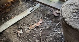 A husband uploaded a picture to Reddit hoping expert 'snipers', internet slang for those who can seek out the tricky to spot object, could aid him in his frantic search for his wedding band