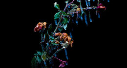 I Revived A Historic 3D Photo Technique