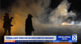 ICE Agent Ambushed, Assaulted While Arresting Illegal Alien