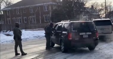 ICE Can Defend Itself From Those Using Cars As Murder Weapons