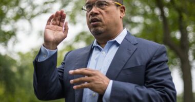 ICE Wanted to Kill Renee Good – HotAir