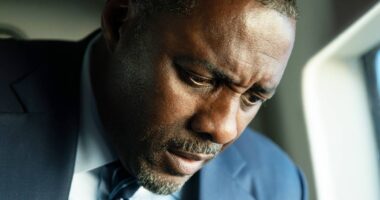 Idris Elba Played Both the President and the Prime Minister Last Year, and He Nailed Both Performances