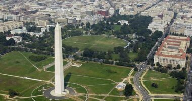 If the President Doesn’t Run a Bureaucracy, No One Does