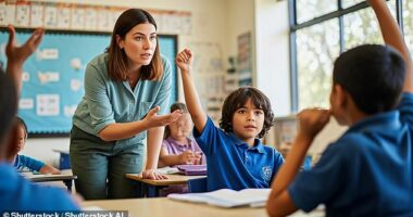 Behind Australia's colourful classrooms and cheerful newsletters sits a system that teachers describe as stretched thin and held together by experience, patience, and bubble-gum