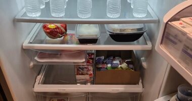 It may seem like any other fridge but a closer look at a mum's weekly essentials reveals a 'sad' reality of her lifestyle