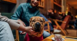 I’m moving cross country and want to fly my dog on a private jet. Is this a waste of money?