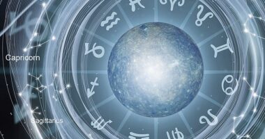 In the new year, one sign needs to slow down, says JEMIMA CAINER, while another needs to be confident enough to make the right decision