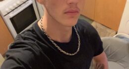 Logan Smith, 18, died in a car crash on the M5 after being Tasered by a police officer