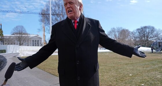 President Donald Trump and Republicans on Capitol Hill are hoping that larger tax refunds coming to American households this tax season - thanks to the 'big, beautiful bill,' will offset Democrats' affordability messaging going into the November midterm elections