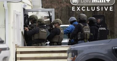 Heavily armed US Marshals were seen descending on the secluded Catskills home of Timothy Busfield and Melissa Gilbert, smashing through the front door with a battering ram during a dramatic raid on Tuesday