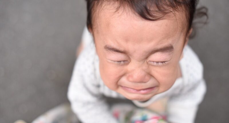 It's Not Just Minnesota. The Vast Majority Of Daycare Is A Scam