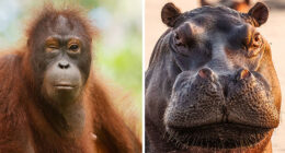 “I’ve Spent Hours Watching Elephants Do Nothing”: My 21 Real Photos From The Wild