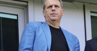 Emails released by the US Department of Justice have shown that Jeffrey Epstein sought to organise meetings with Chelsea co-owner Todd Boehly in 2011