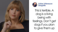 Jennifer Lawrence Sparks Fury After Revealing Why She Rehomed Her Pet After 9 Years