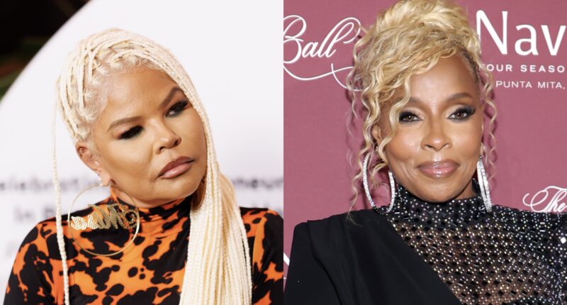 Misa Hylton Reportedly Speaks Out After Judge Dismissed Her $5M Lawsuit Against Mary J. Blige