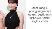 Kang Ji-young: Bio And Career Highlights