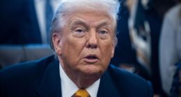 President Donald Trump has spoked about cancelling US elections when talking about the ipcoming midterms, which he believes may be won largely by Democrats